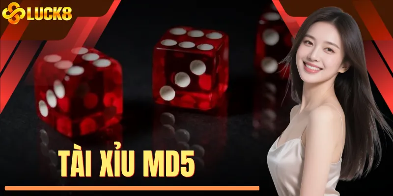 Tài Xỉu MD5 - Công Nghệ Hash Định Hình Trải Nghiệm Mới